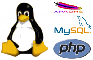 PHP - MySQL